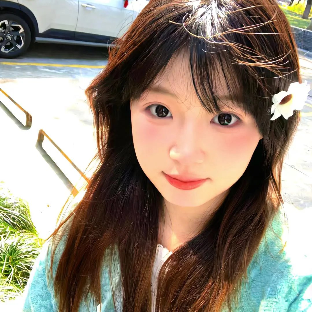 小森林2018